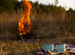 В Ростовской области пикник во дворе закончился пожаром и ожогами у 10-летнего ребенка