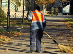В Ростовской области зафиксировали острую нехватку дворников