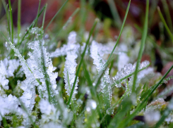 В Ростове ожидается сильный ветер и небольшие заморозки в последний день ноября