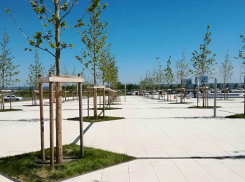 Психоделический ландшафт обнаружили ростовчане в аэропорту «Платов»