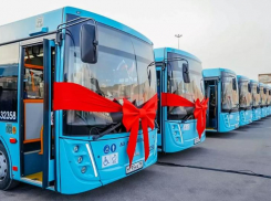 Ростовская область перейдет на китайские и белорусские автобусы из-за санкций
