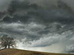 Ливни и грозы идут на Ростовскую область