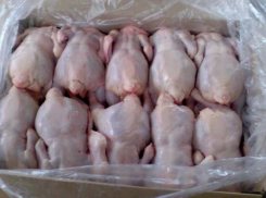 Опасными бройлерными цыплятами кормили пациентов больницы в Ростовской области