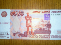 Фальшивой пятитысячной купюрой расплатился за телевизор покупатель интернет-магазина