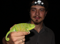 Дело ростовского зоолога, задержанного на Шри-Ланке, пересмотрят