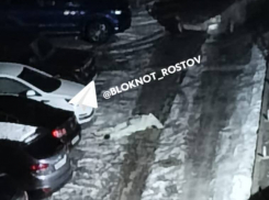 В Батайске нашли три загадочных трупа на одном участке за несколько месяцев