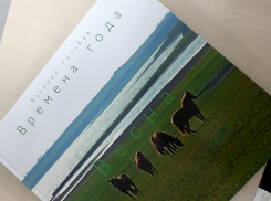 Глава ростовского «Газпром межрегионгаз» выложил за фотоальбом Голубева 100 тысяч