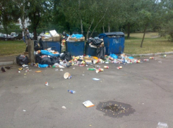 Жительница Ростовской области перепутала кролика с мертвым младенцем 