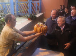 Губернатор объявил конкурс с интересным требованием к имени девочки-слоненка в Ростове