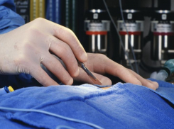 В Новочеркасске будут судить патологоанатома Константина Ткача за ошибку при вскрытии