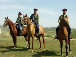 Казаки начнут патрулировать места отдыха в Ростове 