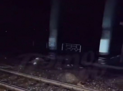 Под Ростовом поезд насмерть сбил стадо баранов