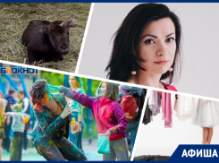 Спасаемся от тревоги, изучаем мини-юбки и отдыхаем в зоопарке: куда пойти в Ростове на этой неделе