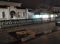 На Соборной площади в Ростове вырубили деревья