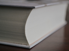 Яндекс назвал любимые слова ростовчан