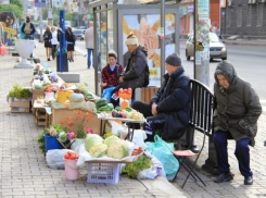 За торговлю на улицах и дорогах Ростова физические лица заплатят 5000 рублей штрафа