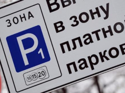 Ростовчане выступили против введения в городе платных парковок