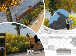 На Сержантова в Ростове обустроят пешеходную зону с «парковкой» для собак