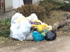 Ростовчанин пожаловался на образовавшуюся мусорную свалку 