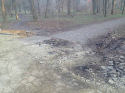 Беспредельную укладку плитки на асфальт устроили в парке Ростова