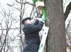 В Ростове появились первые скворечники 