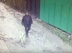 Похититель козы Маши из многодетной семьи в Ростове попал на видео
