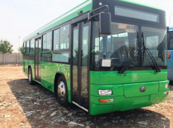 АТП Ростова предложили обновить подвижной состав китайскими автобусами YOUTONG