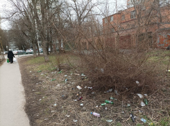 В Ростове пожаловались на стихийную свалку и нехватку урн