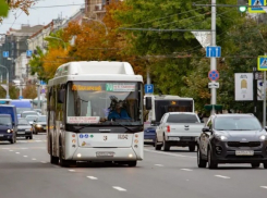 Жители Ростова хотят добираться на работу за 20 минут на автобусе