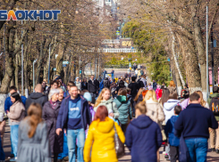 Пасмурная и теплая погода ожидается в Ростове в четверг