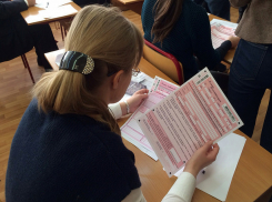 Досрочный ЕГЭ по русскому языку написали 226 человек на Дону