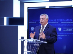 Голубев: Уход западных компаний не повлиял на экономику Ростовской области
