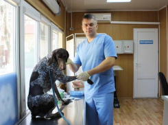 В Ростове ветеринары начали выездную вакцинацию домашних животных от бешенства