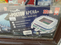 Цены на игрушечную «Ростов Арену» взбесили местных покупателей