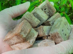 В Ростовской области закупят 170 тысяч доз вакцин от бешенства диких животных 