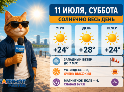 В Ростове-на-Дону 11 июля будет солнечно и жарко до +28