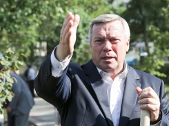 Голубев пригрозил увольнять глав районов области