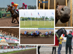 Ростовскому ипподрому дали шанс стать памятником культуры