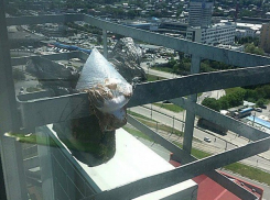 Жильца элитного дома в центре Ростова засыпали мусором соседи сверху