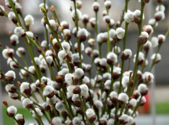 Солнечно и тепло: рассказываем о погоде на среду, 20 марта