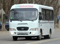 Связать Портовую и Сельмаш предложила ростовчанка интересным способом