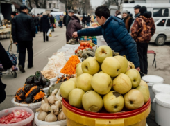В Ростовской области пройдут продуктовые ярмарки 22 и 23 апреля