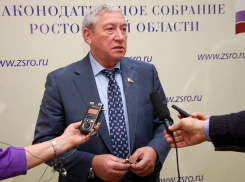 Уличенный в недостоверности сведений о доходах ростовский депутат зарабатывает 228 тысяч в месяц