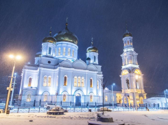 Власти Ростова объяснили, почему на Соборной площади деревья посажены в кадки