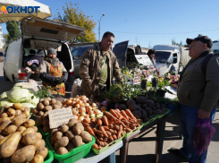 В Ростовской области за год в два раза подорожал картофель