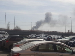 Под Ростовом произошел крупный ландшафтный пожар 20 марта