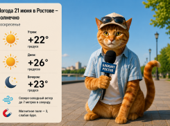 Воскресенье в Ростове обещает быть теплым и солнечным