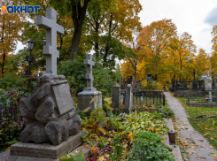 Ростовская область опередила все регионы РФ по естественной убыли населения в 2022 году