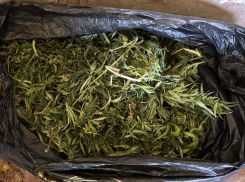 За хранение наркотиков задержали жителя Новочеркасска