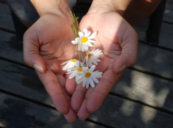 Поздравляем близких и друзей с праздником даже во время самоизоляции